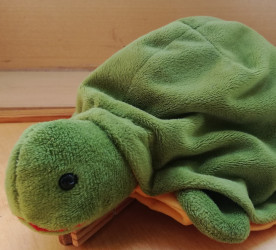 Schildkrötenklasse